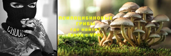 марки nbome Новозыбков