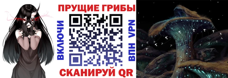 где купить наркоту Ардон дарк нет как зайти Псилоцибиновые грибы GOLDEN TEACHER