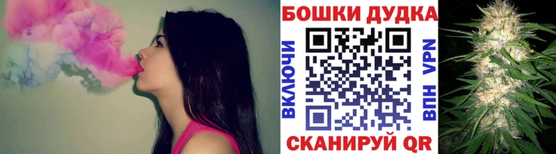 Шишки марихуана план  как найти наркотики  Ардон 